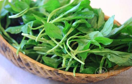 過敏性紫癜如何食補比較好 過敏性紫癜患者飲食推薦