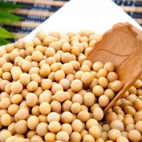 五谷雜糧談養(yǎng)生,長壽抗癌好幫手 五谷雜糧談養(yǎng)生,長壽抗癌好幫手