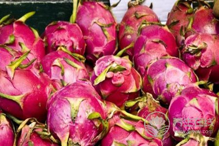 胃酸過多患者可以吃火龍果嗎? 胃酸過多患者可以吃火龍果嗎?