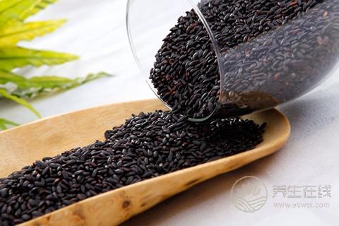 吃黑米不容易餓 揭秘最有效的黑米減肥方法