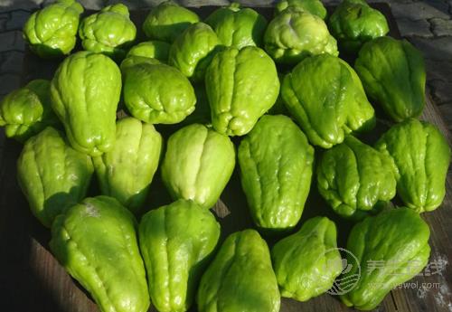 佛手瓜對(duì)身體有這些好處,你喜歡吃嗎? 佛手瓜對(duì)身體有這些好處,你喜歡吃嗎?