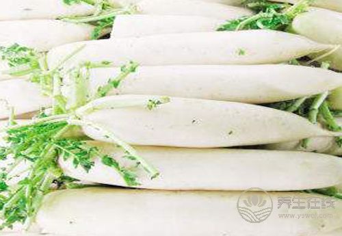 冬吃蘿卜化痰止咳助消化，還不趕緊吃
