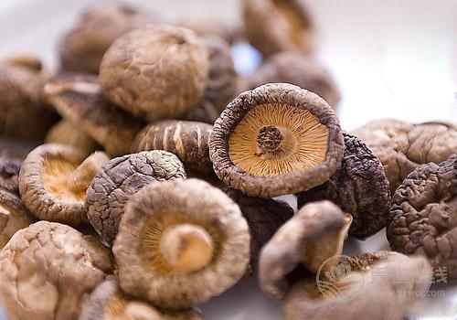 如何挑選干香菇?泡完干香菇的水千萬別倒 如何挑選干香菇?泡完干香菇的水千萬別倒