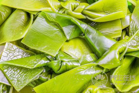 女人吃哪些蛋白質食物能減肥