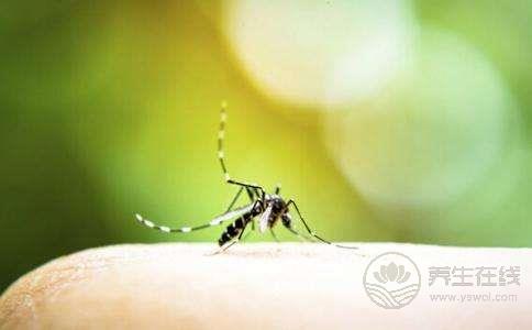 驅蚊八錯誤傷肺致癌 氣霧驅蟲劑造成健康隱患 驅蚊八錯誤傷肺致癌 氣霧驅蟲劑造成健康隱患