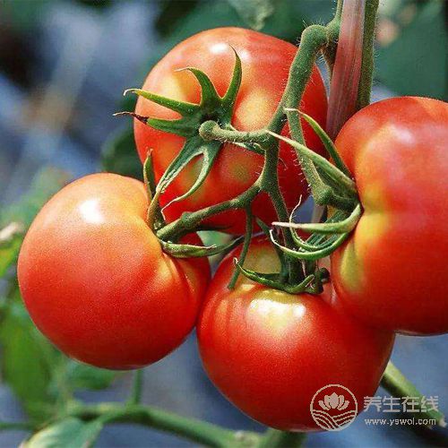 吃蔬菜雖好,但這些食用禁忌你知道幾個? 吃蔬菜雖好,但這些食用禁忌你知道幾個?