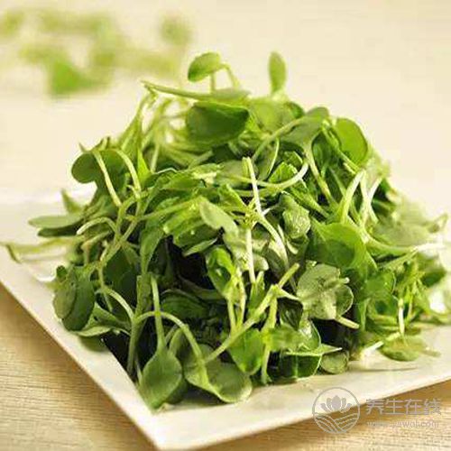 胃痛別光吃胃藥，生活中的5種食物也有很好的緩解作用