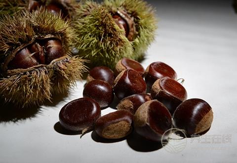 常吃板栗會發胖? 千萬別因誤會錯失這營養食物 常吃板栗會發胖? 千萬別因誤會錯失這營養食物
