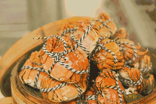 吃蟹是件風雅事,正確的吃蟹方式是這樣的,誤食有害健康哦 吃蟹是件風雅事,正確的吃蟹方式是這樣的,誤食有害健康哦