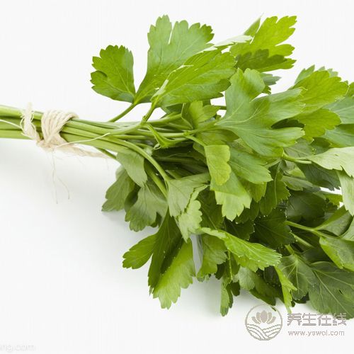 常吃香菜有4大好處,你知道嗎 常吃香菜有4大好處,你知道嗎