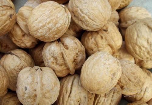 常吃核桃，對身體有這些好處，現在知道也不晚