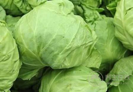 這物竟然能殺死白血病異常細胞 它還有這么多作用 這物竟然能殺死白血病異常細胞 它還有這么多作用