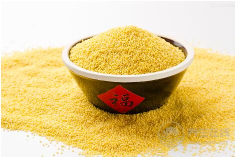 這些主食能有助于減肥你造嗎？