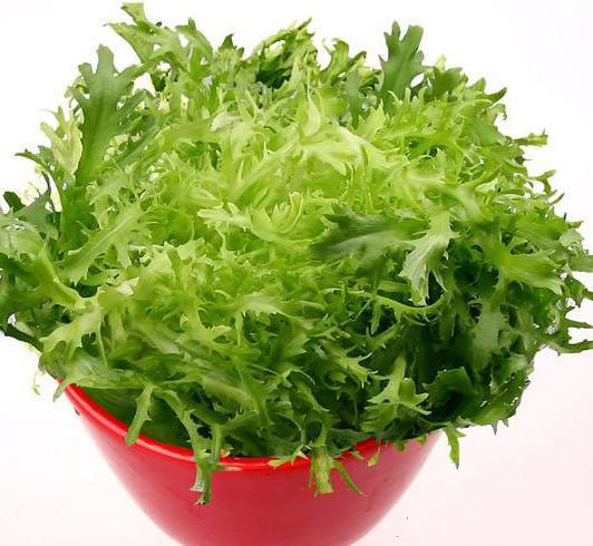 6月必吃的蔬菜是它,養生功效極好,您吃了嗎 6月必吃的蔬菜是它,養生功效極好,您吃了嗎