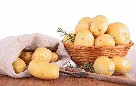 土豆發芽后還能食用嗎?切掉發芽部分可以食用嗎 土豆發芽后還能食用嗎?切掉發芽部分可以食用嗎