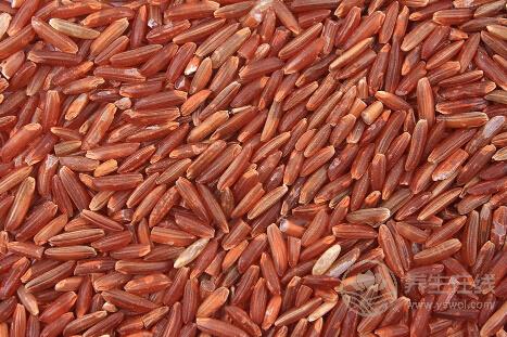 這些主食能有助于減肥你造嗎？