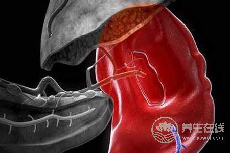 脾胃虛吃小米好不好? 脾胃虛吃小米好不好?