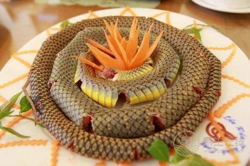 吃蛇肉 莫忽視蛇肉的功效和食用禁忌