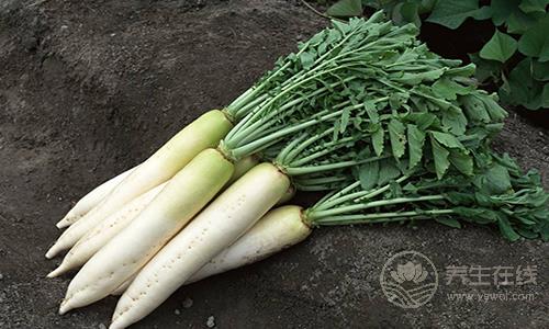 霜降吃什么養生 11種食物養陰潤燥