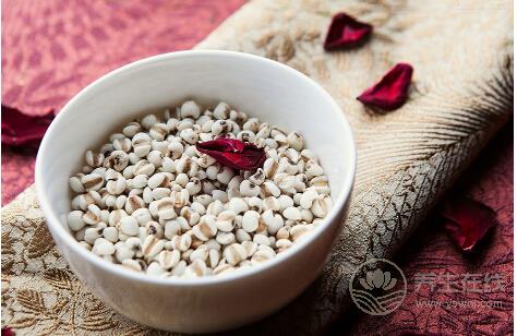 這些主食能有助于減肥你造嗎？