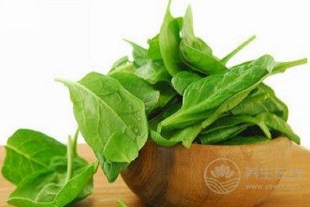常吃菠菜好處多 需注意5個(gè)禁忌 常吃菠菜好處多 需注意5個(gè)禁忌