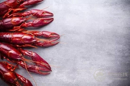 作為一只正經的小龍蝦，這些謠言“黑鍋”我不背！