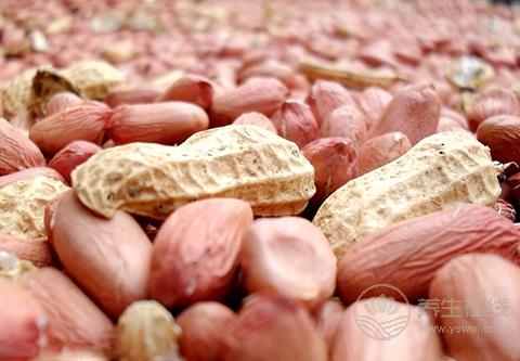 花生不是誰都能吃 這4種人別隨便吃花生！