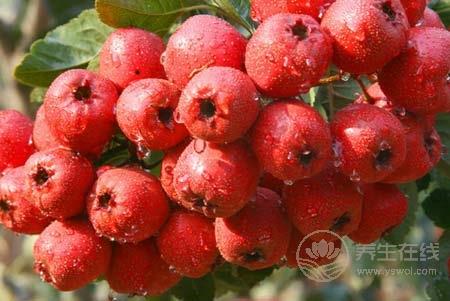 拒絕黃臉婆 脾胃不好的女人不要吃這五種食物
