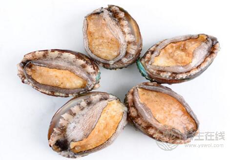 生蠔和鮑魚哪個好吃,鮑魚和生蠔的區(qū)別圖 生蠔和鮑魚哪個好吃,鮑魚和生蠔的區(qū)別圖