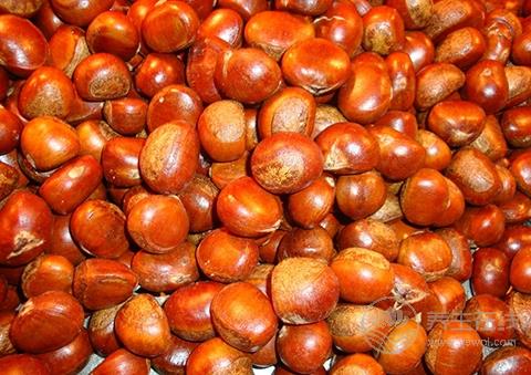 常吃板栗會發胖? 千萬別因誤會錯失這營養食物 常吃板栗會發胖? 千萬別因誤會錯失這營養食物
