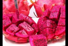 常吃火龍果的好處,火龍果的營養價值與飲食宜忌