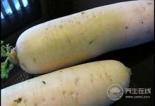 冬吃蘿卜化痰止咳助消化,還不趕緊吃