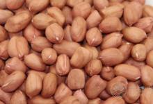 脂肪肝患者可以吃花生嗎?