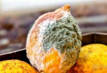 肝病跟吃關系大?想肝臟健康,少吃4類食物