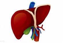 體檢查出脂肪肝,這么吃,讓你下次體檢沒有脂肪肝