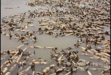 吃了東西感覺沒吃一樣是怎么回事?