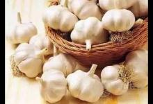 感冒吃什么好得快 十食療治風寒感冒