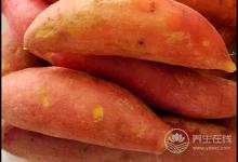 紅薯好吃不貴，對身體還有3大好處