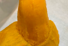 學(xué)生臺風(fēng)天里跑出來“拯救”芒果 臺風(fēng)也抵擋不了芒果美味的誘惑