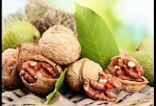 核桃真的能補腦嗎?核桃的營養價值有多高