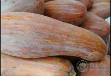 揭秘喝紅玫瑰葡萄酒的好處？