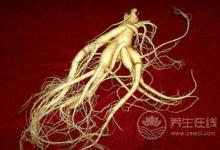 哪六類人與人參無緣 服用人參的禁忌有哪些