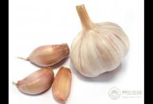 九種食物會引發體臭 榴蓮龍須菜大蒜