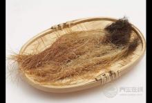 玉米須煮水喝才是養生高手，勝過這5種藥