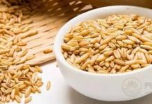 都說燕麥是營養之王，但你知道該如何選？如何吃嗎？