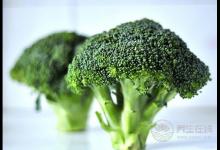 大蒜抗癌有奇效 這5種食物預防胃癌效果佳