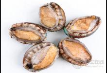 生蠔和鮑魚哪個(gè)好吃,鮑魚和生蠔的區(qū)別圖