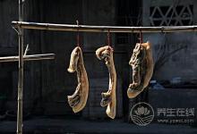 腎不好的朋友,這幾種食物要少吃