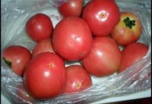 早餐可以空腹吃蘋果嗎?