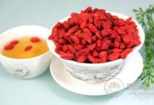 枸杞子泡水喝的功效與禁忌 亂喝它竟會上火流鼻血